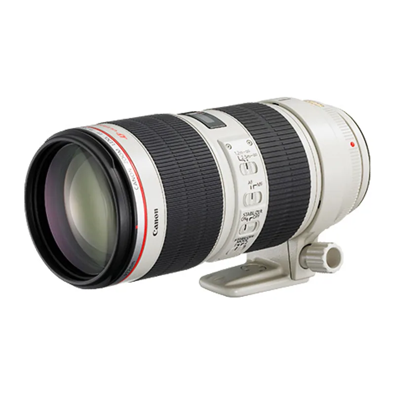 Canon EF 70-200mm f/2.8L IS II USM