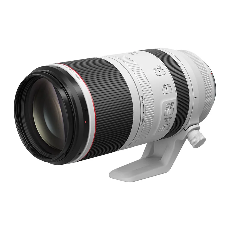 Canon RF 100-500mm F4.5-7.1 L IS USM